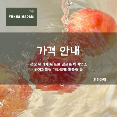 가격 안내 강남 역삼 쩜오 텐카페 텐프로 일프로 하이퍼블릭 가라오케 퍼블릭