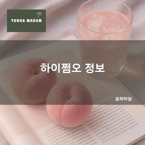 하이쩜오 공식안내 | 강남·역삼·선릉·삼성 | 시스템·가격·뜻·차이