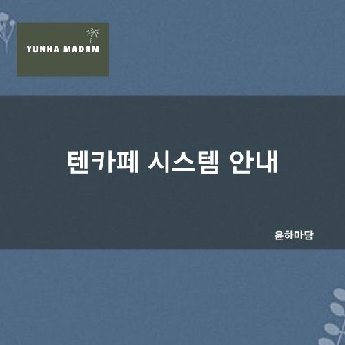 텐카페 공식사이트 | 시스템,가격,후기 | 윤하마담