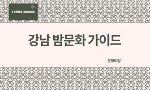 강남 밤문화 가이드