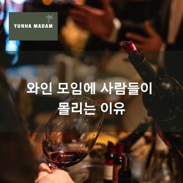 와인 모임에 사람들이 몰리는 이유