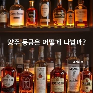 양주 등급은 어떻게 나뉠까?