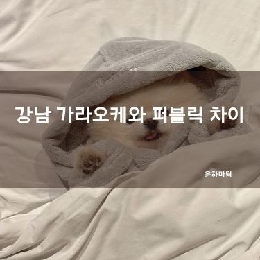 강남 가라오케와 퍼블릭 차이
